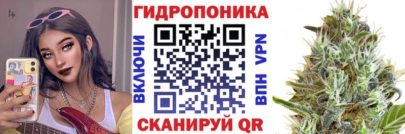 Бошки Шишки Калининец