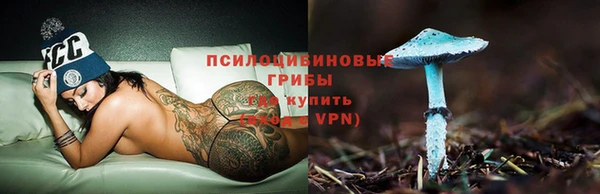 прущие грибы Балабаново