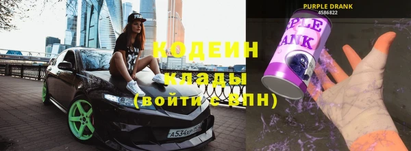 прущие грибы Балабаново