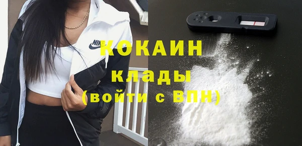 прущие грибы Балабаново